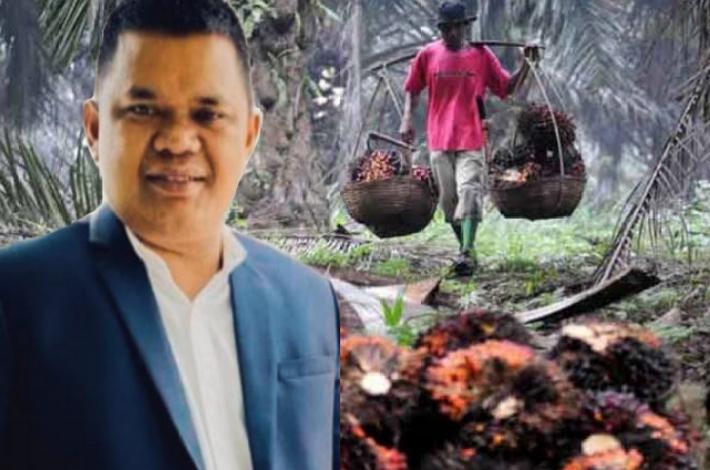 Maruli Silaban SH Kecam PT NSR Tak Hormati Hak Petani