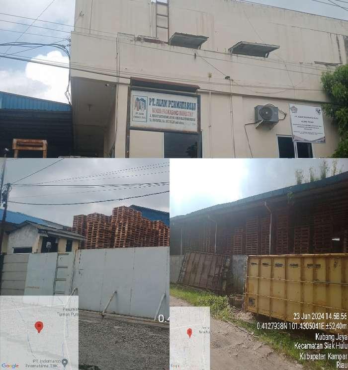 Bos PT APR, Arifin Winko Diduga Suplai Palet dari Sawmil Ilegal ke RAPP