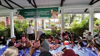 Kejati Maluku Bagikan 26 Hewan Qurban di Hari Raya Idul Adha 1445