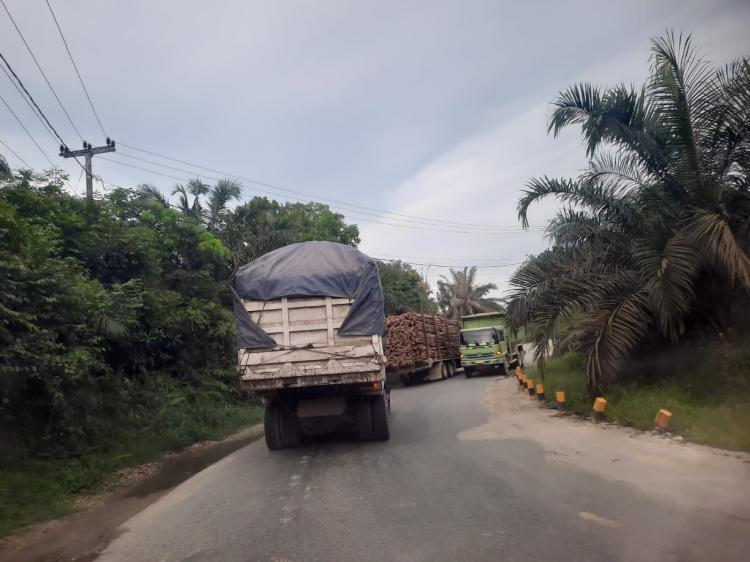 DPN INPEST Sarankan Ditjen Bina Marga Tingkatkan Jalan BTS Pekanbaru-Muara Lembu-Teluk Kuantan
