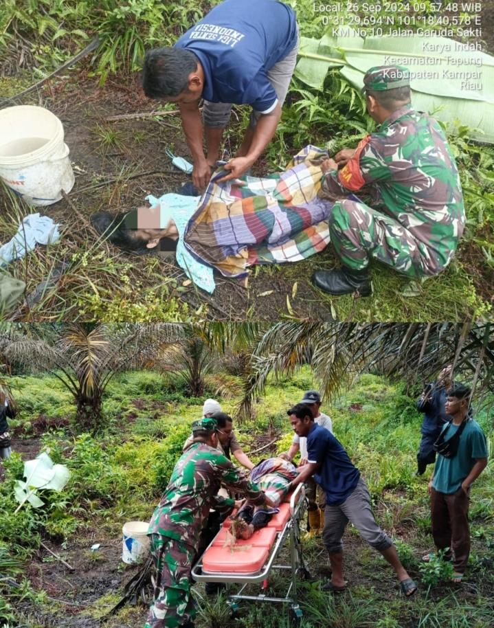 Ditemukan di Kebun Sawit, Seorang Wanita di Riau Meninggal Dunia Diduga Kelaparan dan Sakit