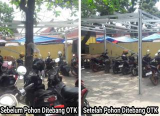 Pohon di Pasar Simpang Baru Panam Ditebang OTK, Pedagang Minta Pihak Berwenang Bertindak