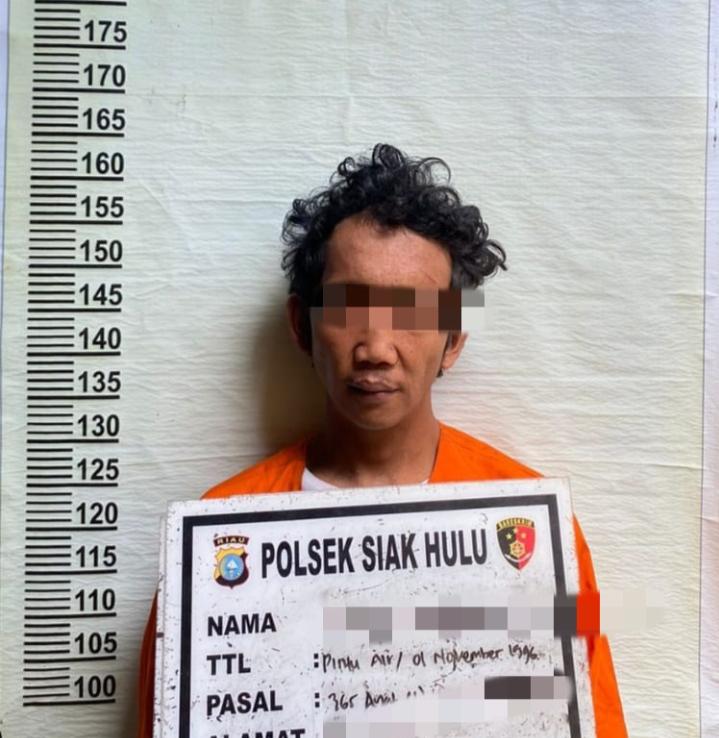 Pelaku Pencurian Buah Sawit dan Penganiayaan di Siak Hulu Ditangkap Polisi