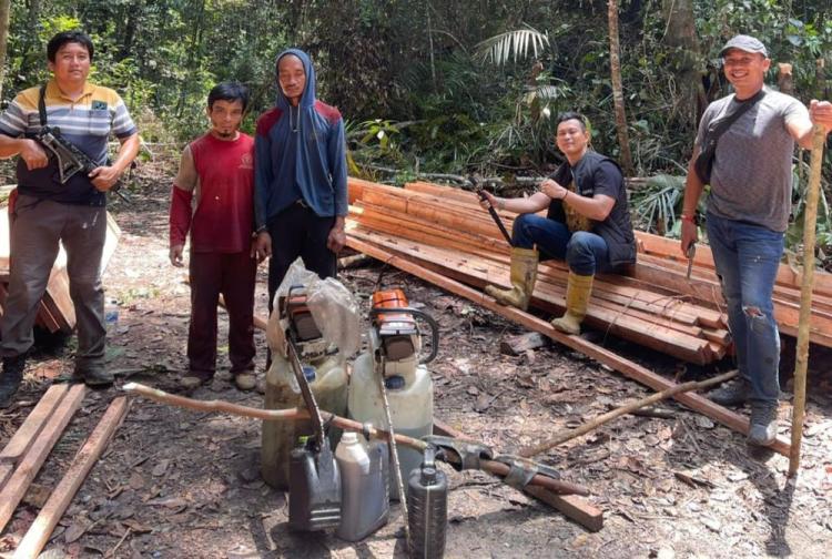 Tujuh Pelaku Perambah Hutan di Habitat Harimau Sumatera Ditangkap Polisi