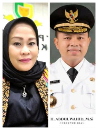 Dian Wahyuni Minta Gubernur Riau Dorong Inspektorat Audit Khusus Keuangan BLUD di RSUD AA