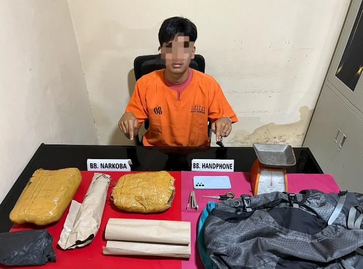 Satresnarkoba Polres Kampar Ringkus Pengedar 1,38 Kg Ganja Kering