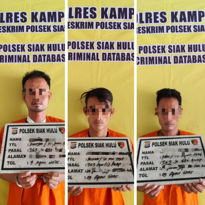 Lakukan Aksi di 6 Lokasi, 3 Pelaku Curanmor di Siak Hulu Ditangkap