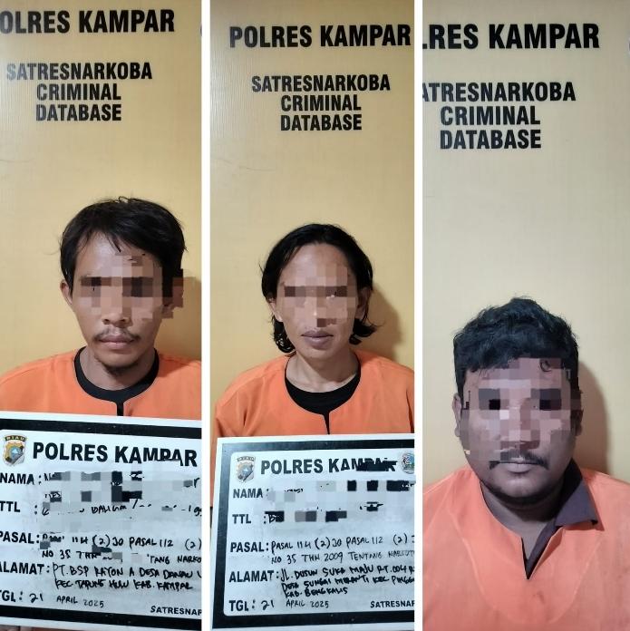 Satresnarkoba Polres Kampar Bongkar Peredaran Narkoba, 3 Tsk dan 68,59 Gram Sabu Diamankan