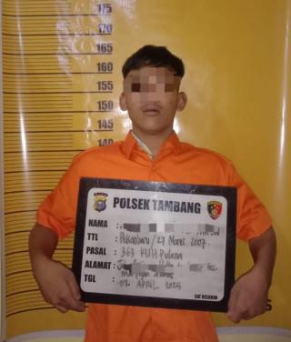 Satreskrim Polsek Tambang Ringkus Pelaku Curat