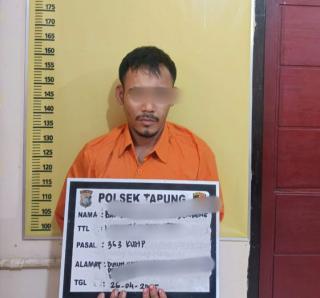 Polsek Tapung Ringkus Pelaku Curat