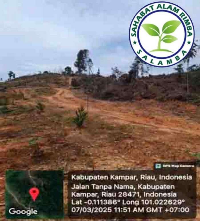 Temukan 11.000 Ha Lahan Kawasan Hutan di Kampar Beralih Fungsi Secara Ilegal, SALAMBA Siapkan Laporan ke Satgas PKH