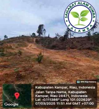 Temukan 11.000 Ha Lahan Kawasan Hutan di Kampar Beralih Fungsi Secara Ilegal, SALAMBA Siapkan Laporan ke Satgas PKH