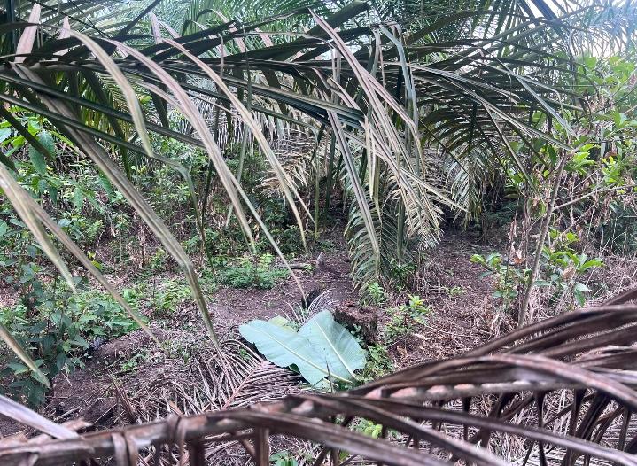 Geger, Warga Tambang Temukan Mayat Bayi Didalam Plastik