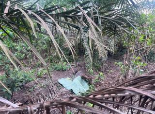 Geger, Warga Tambang Temukan Mayat Bayi Didalam Plastik