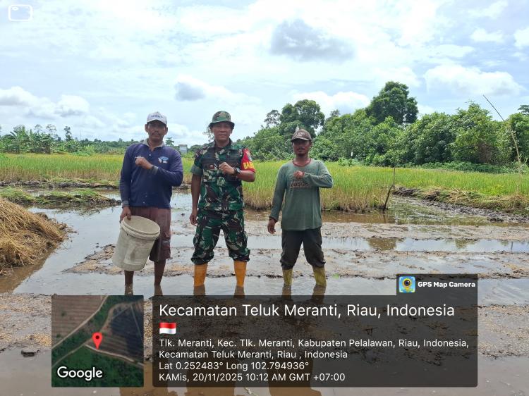 Di Tengah Keterbatasan Listrik, Babinsa Pulau Muda Bersama Warga Wujudkan Program Swasembada Pangan Presiden RI