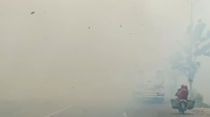 Kabut Asap di Dumai Semakin Tebal