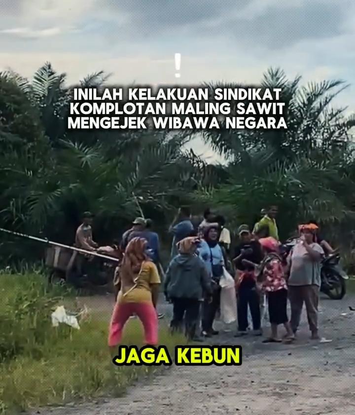 Pertahankan Sawit Negara dari Komplotan