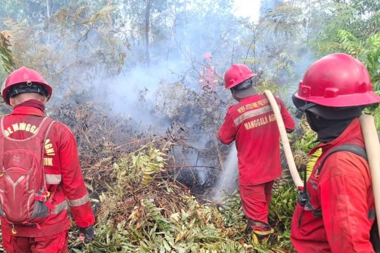 Kemarau Panjang El Nino, Pemko Pekanbaru Tetapkan Siaga Darurat Karhutla