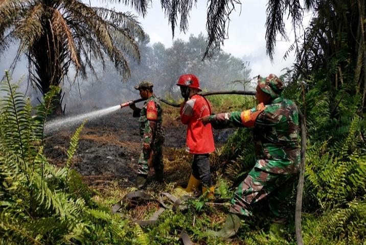 Selamatkan Kawasan Konservasi, TNI dan Tim Gabungan Perkuat Operasi Pemadaman Karhutla di SM Kerumutan