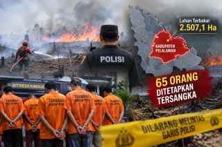 Pelalawan Jadi Kabupaten Terluas Lahan Terbakar di Riau, Total 2.507 Hektar